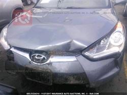 هيونداي فلوستر